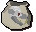 Albino rat pouch