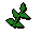 Equa leaves