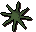 Raw karambwan