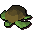 Raw sea turtle