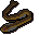 Cave eel