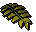 Curry leaf