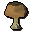 Bittercap mushroom