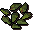 Leaves (yew)