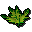 [image: snake weed]