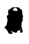 [image: the emir with question mark on him]