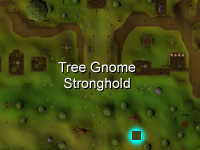 [image: location of grand tree fruit tree patch]