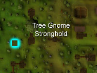 [image: location of gnome stronghold tree patch]
