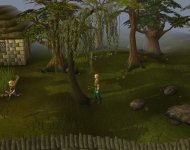 2011scape bot char.JPG